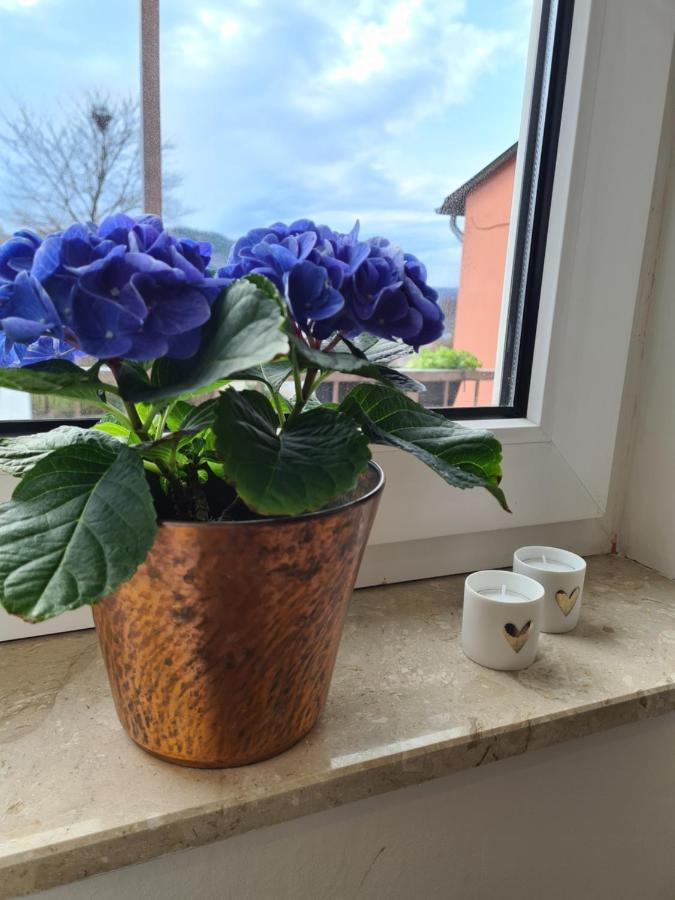 Ferienwohnung Rosenberg Oberemmel エクステリア 写真